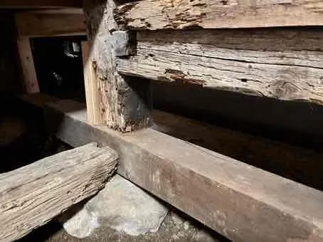 床下の木部腐食を見極める方法
